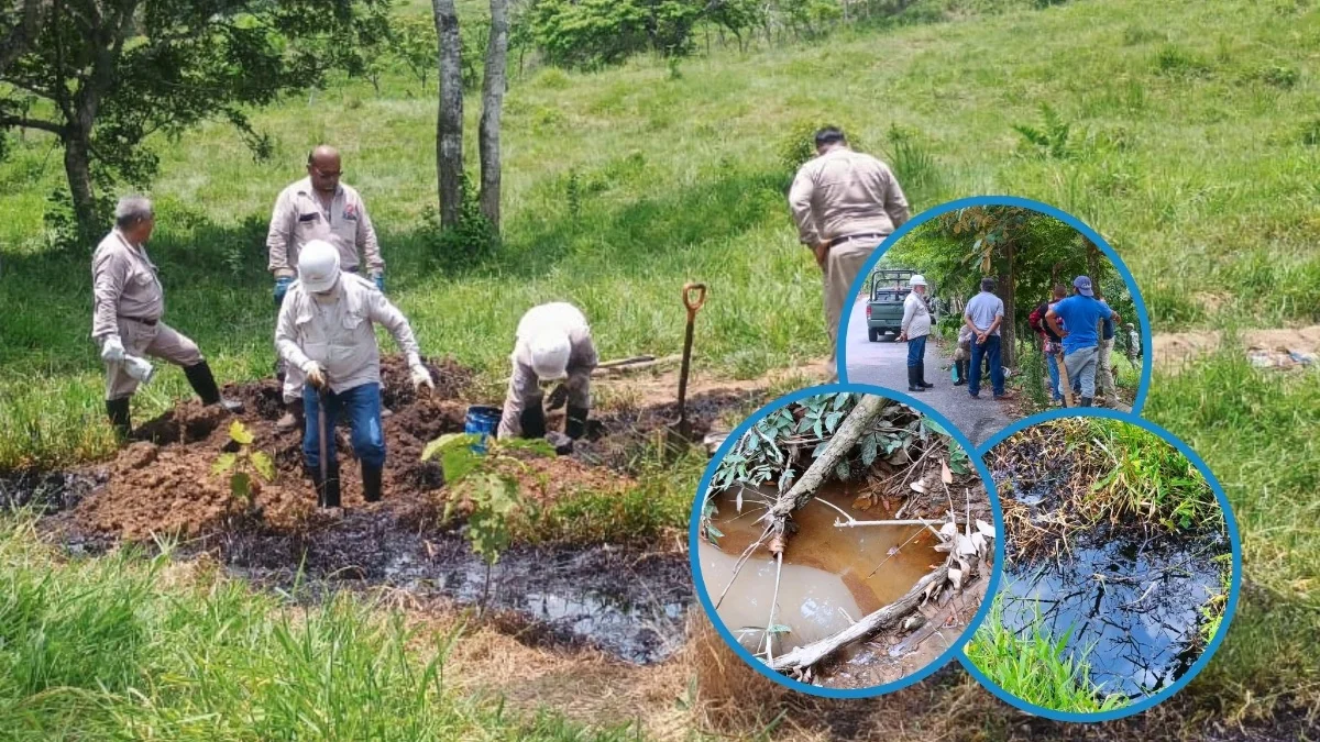 Evidencia fotográfica