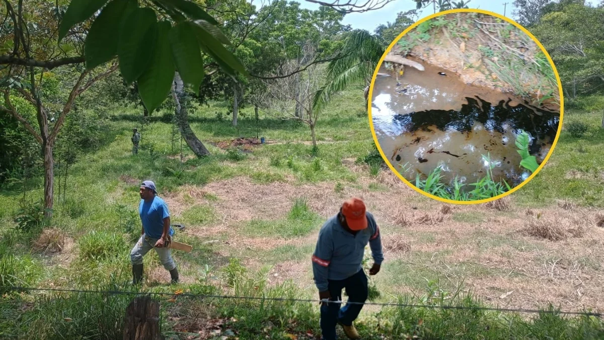 Evidencia fotográfica